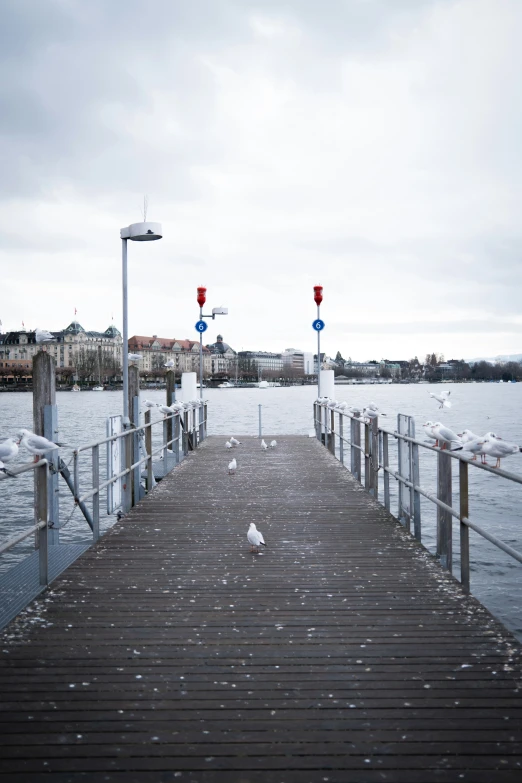 an ocean pier with seagulls in the water