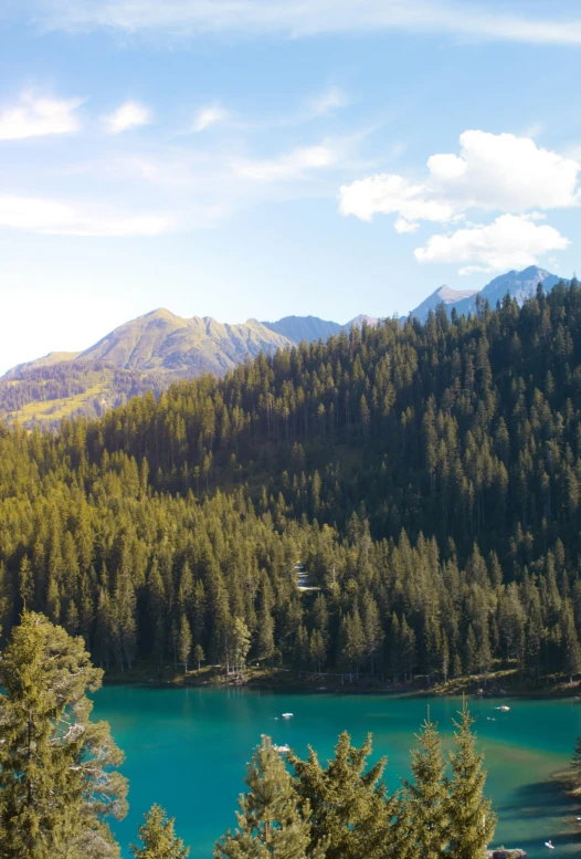 green forested mountain area with trees near lake and house