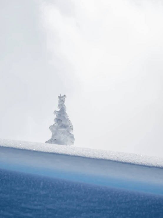 a tall snow - covered fir tree sits on a hill