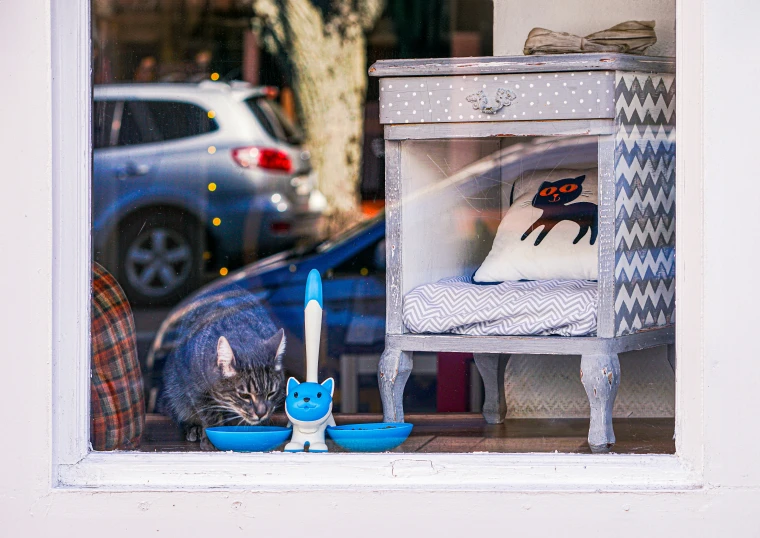 two cats sit in a small room with a window