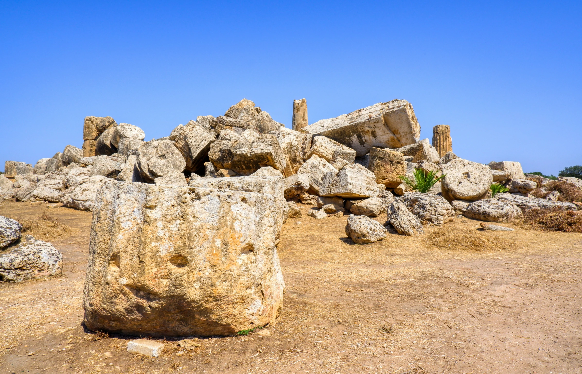 many rocks on the dirt with trees in the distance