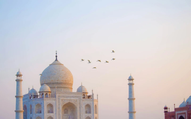 birds fly over the tajwala and white tower