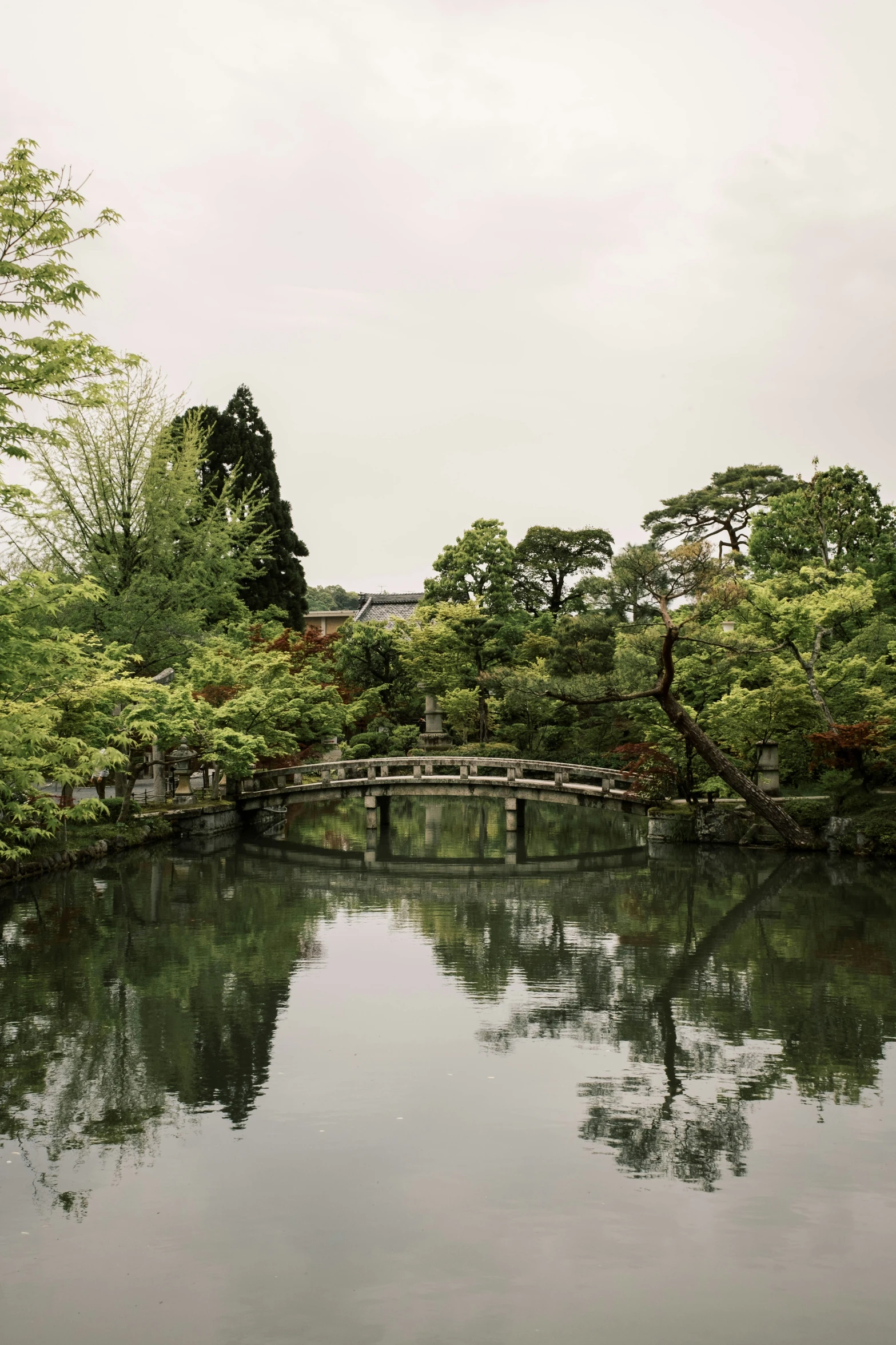 a pond is surrounded by some trees and a bridge