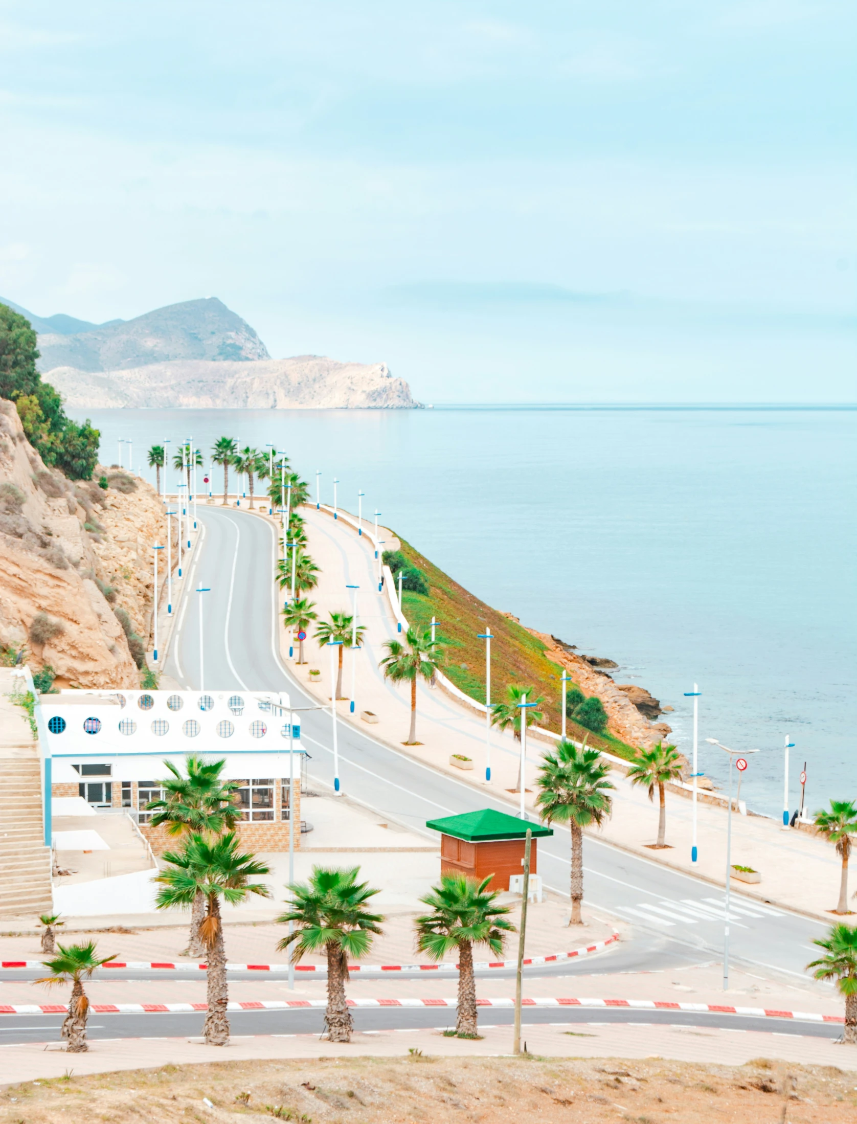 a palm tree lined area near the beach