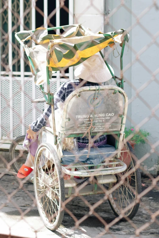 a dog is sitting on a carriage being pulled