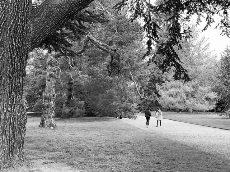 two people walking through an open park in winter