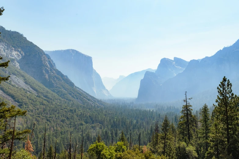 mountains in the distance with a forest and trees in the foreground