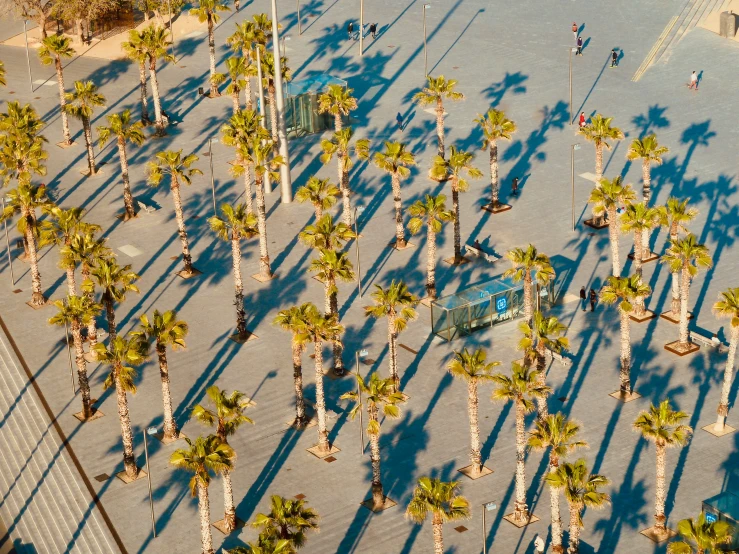 an aerial view of the street with palm trees