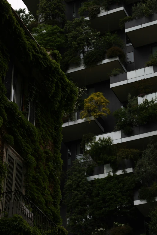 a building filled with lots of trees and plants