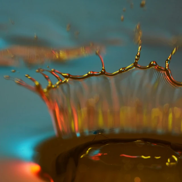 the reflection of water and its leaves in the bowl