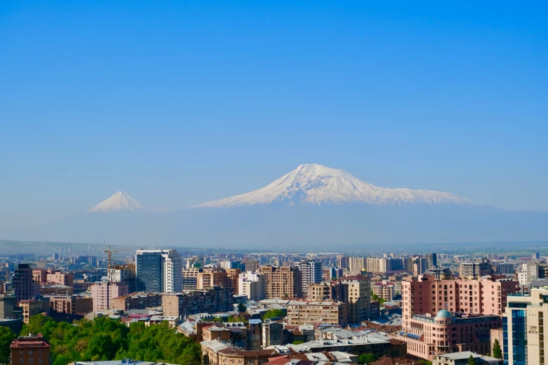 large city buildings with a white mountain in the background