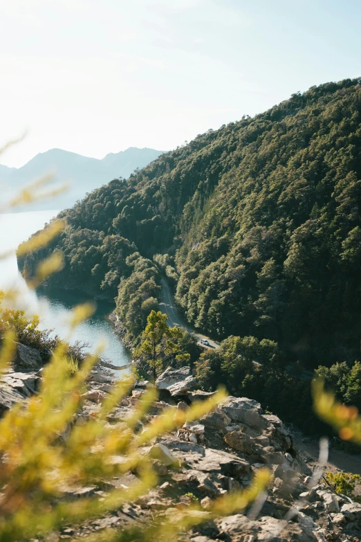 a scenic view of mountains, trees and water with a road through the middle