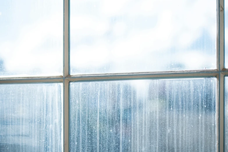 a cat sitting on the window sill outside