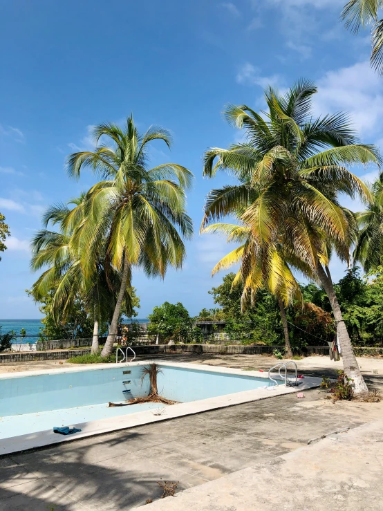 a large empty pool with many palm trees