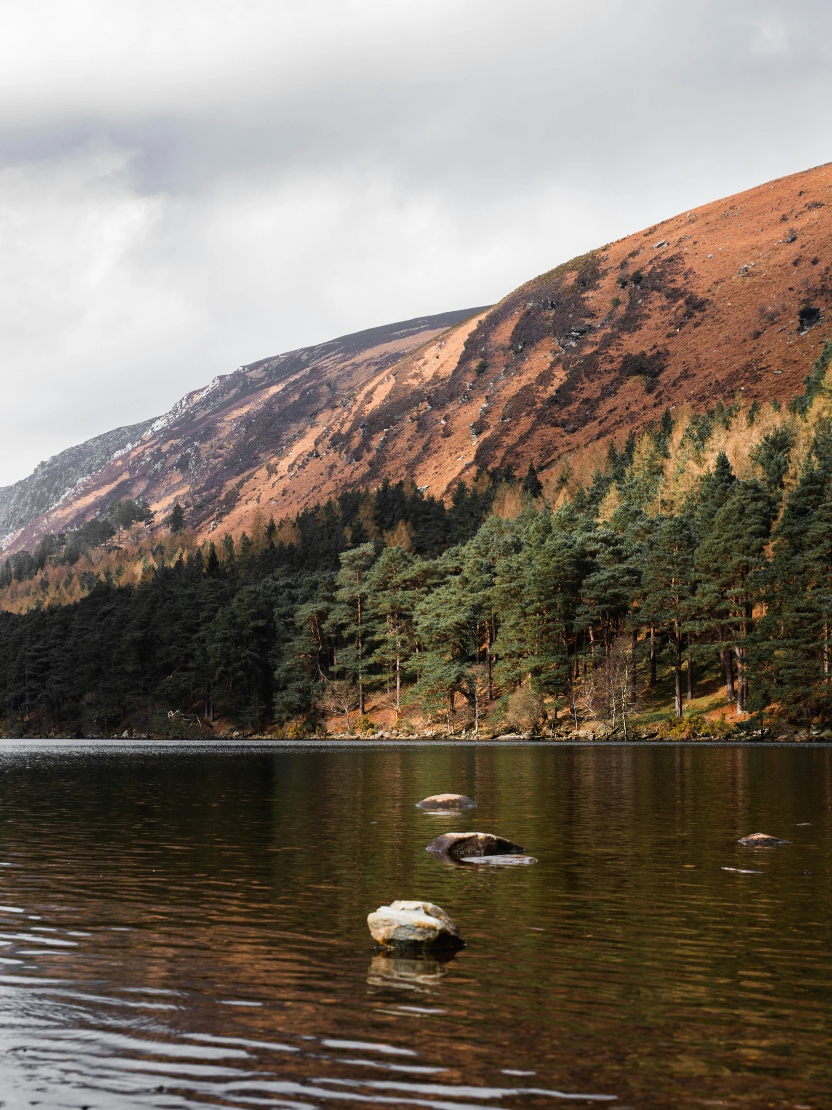 a lake surrounded by trees with mountains in the background