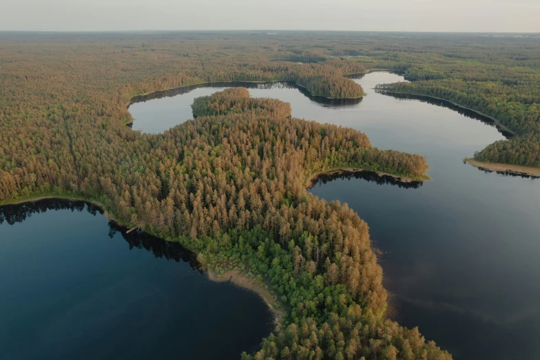 the water has many small islands that are surrounded by tall trees