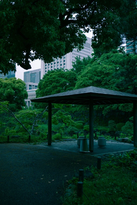 an empty park with grass, trees and a bench