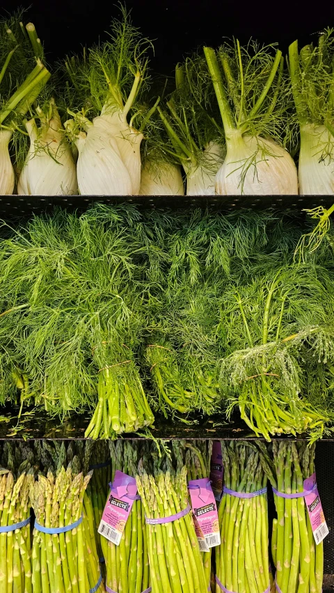 a bunch of vegetables sitting on a shelf