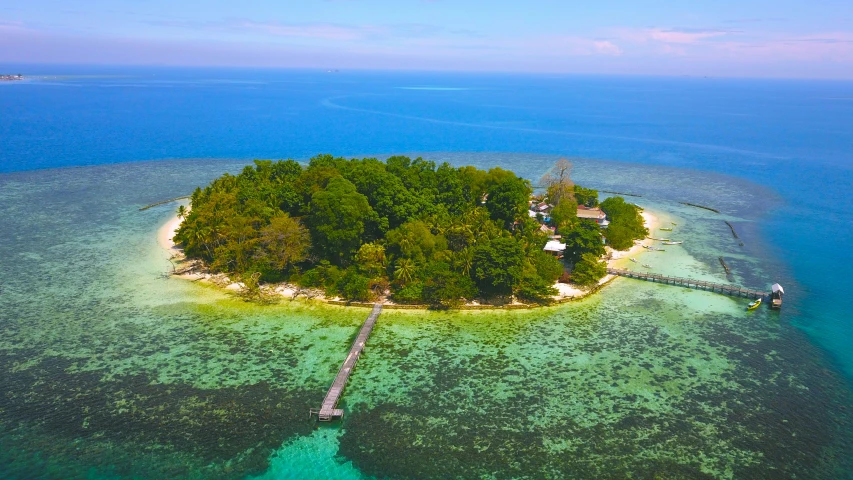 a tropical island with a wooden pier on one end and several trees on the other