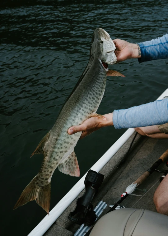 a person holds up a small fish on the water