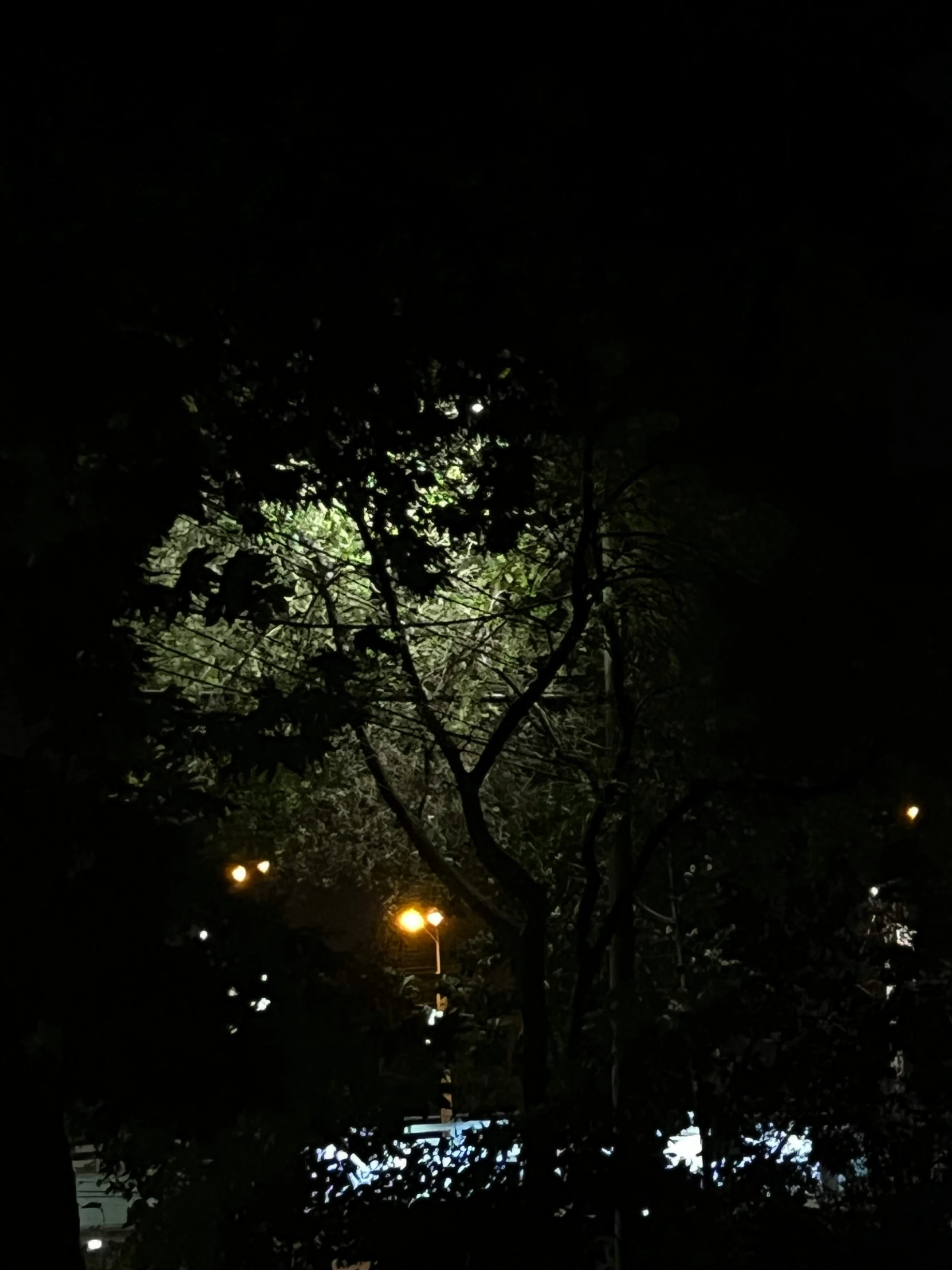 night time picture of a street light in the dark