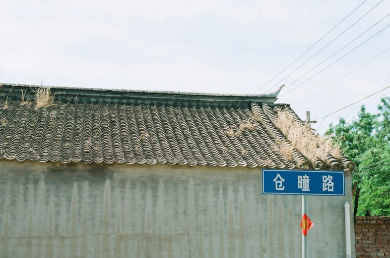 the asian styled roof of the building is covered by a thin wicker