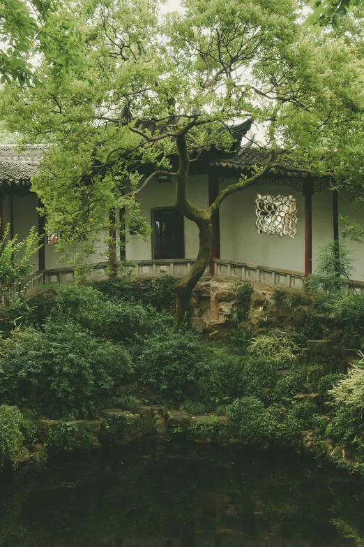 a building in the woods next to a pond