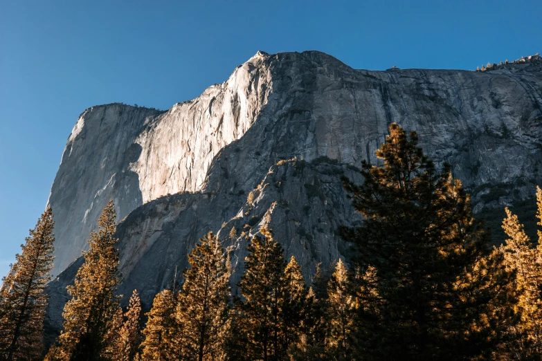 a rock face with trees below on a clear day