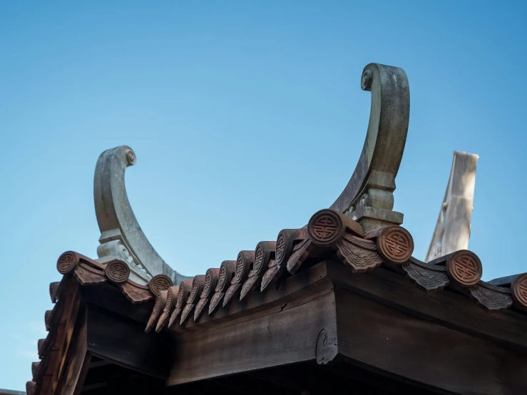 a strange roof decoration that appears to be the only thing