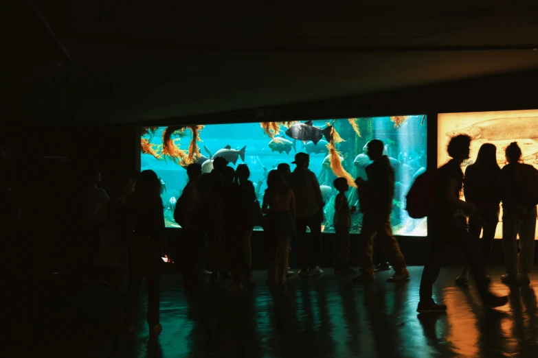 a group of people looking at some fish in a big screen