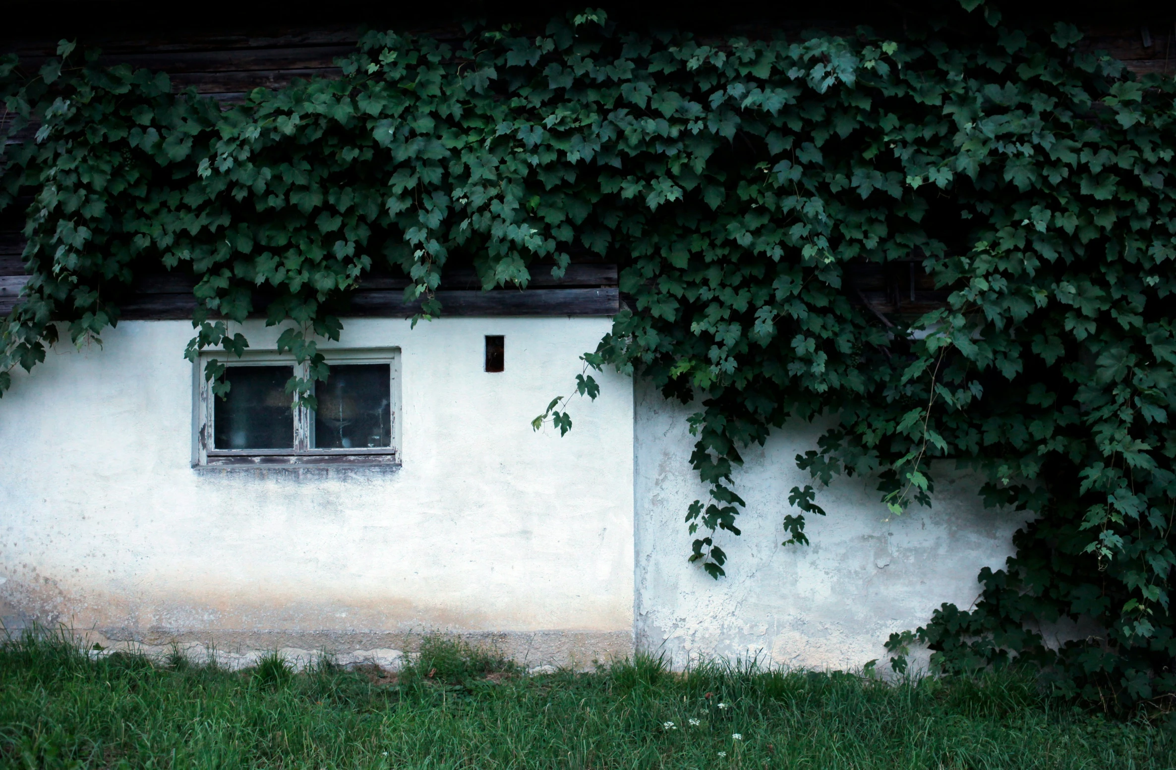 a window in the side of an old building with vines growing on it