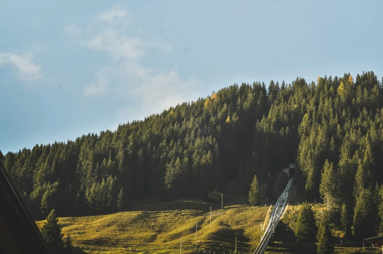 a white plane in the sky flying over a forest