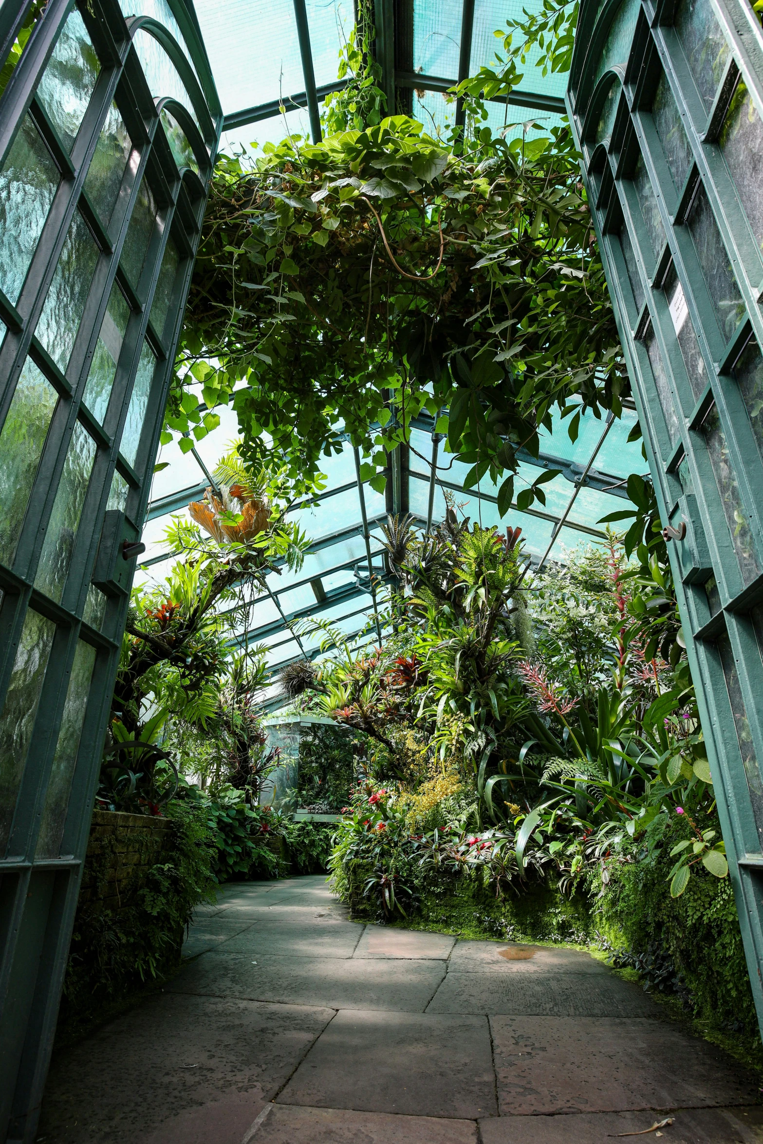 an entry to an outside greenhouse in the day