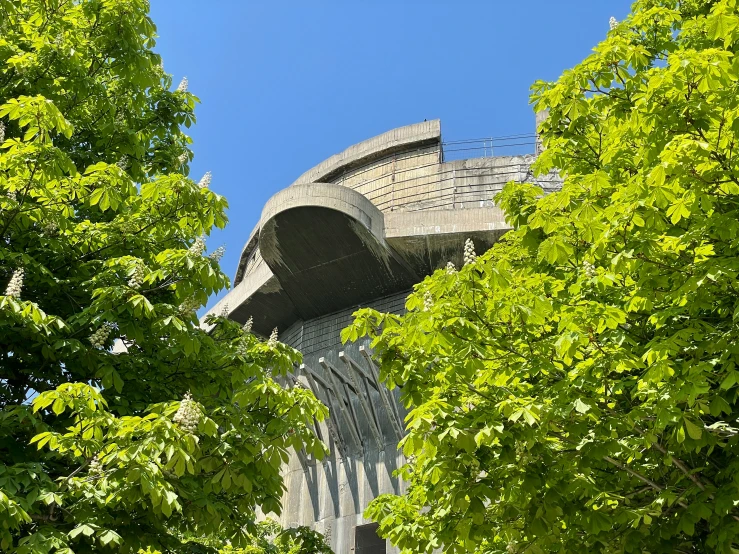 the tower is sticking out from through the trees