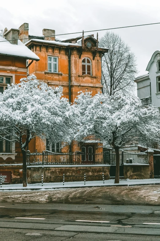 a tree that is in front of some houses