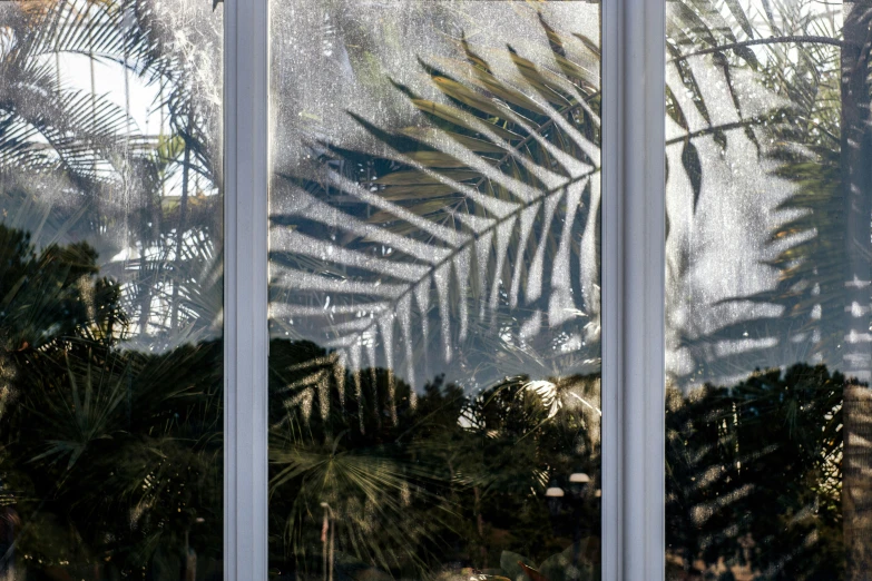 there is a view out of a window with leaves on it