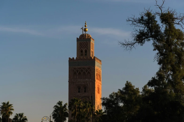 the tall clock tower stands tall over the trees