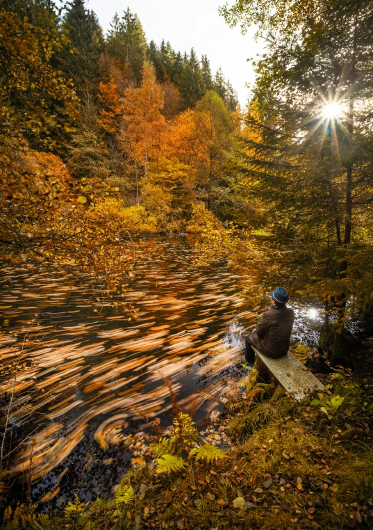 a man sitting on a bench in a forest looking at the water