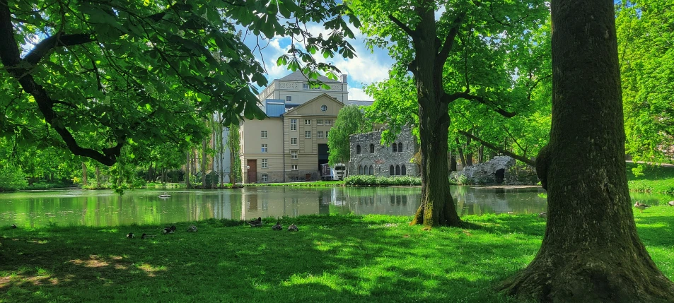 a large water way with trees in front