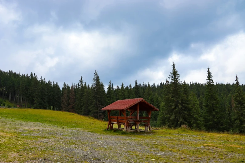 a log cabin sits on the edge of a forested meadow