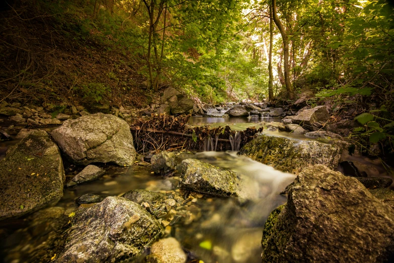 a stream surrounded by rocks and trees