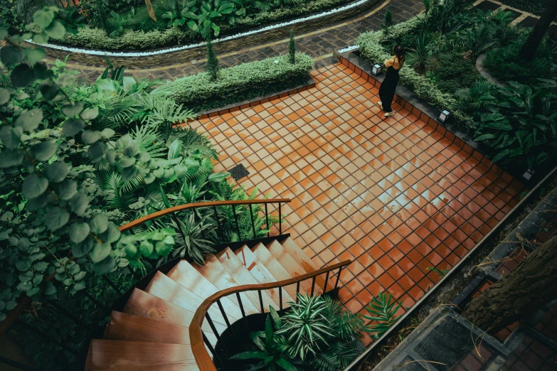 a man walking down some stairs in front of trees