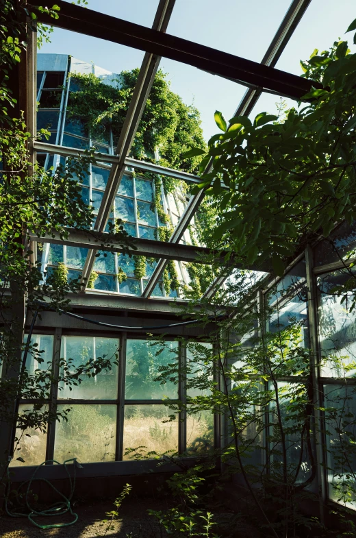 a tall building behind several windows with trees