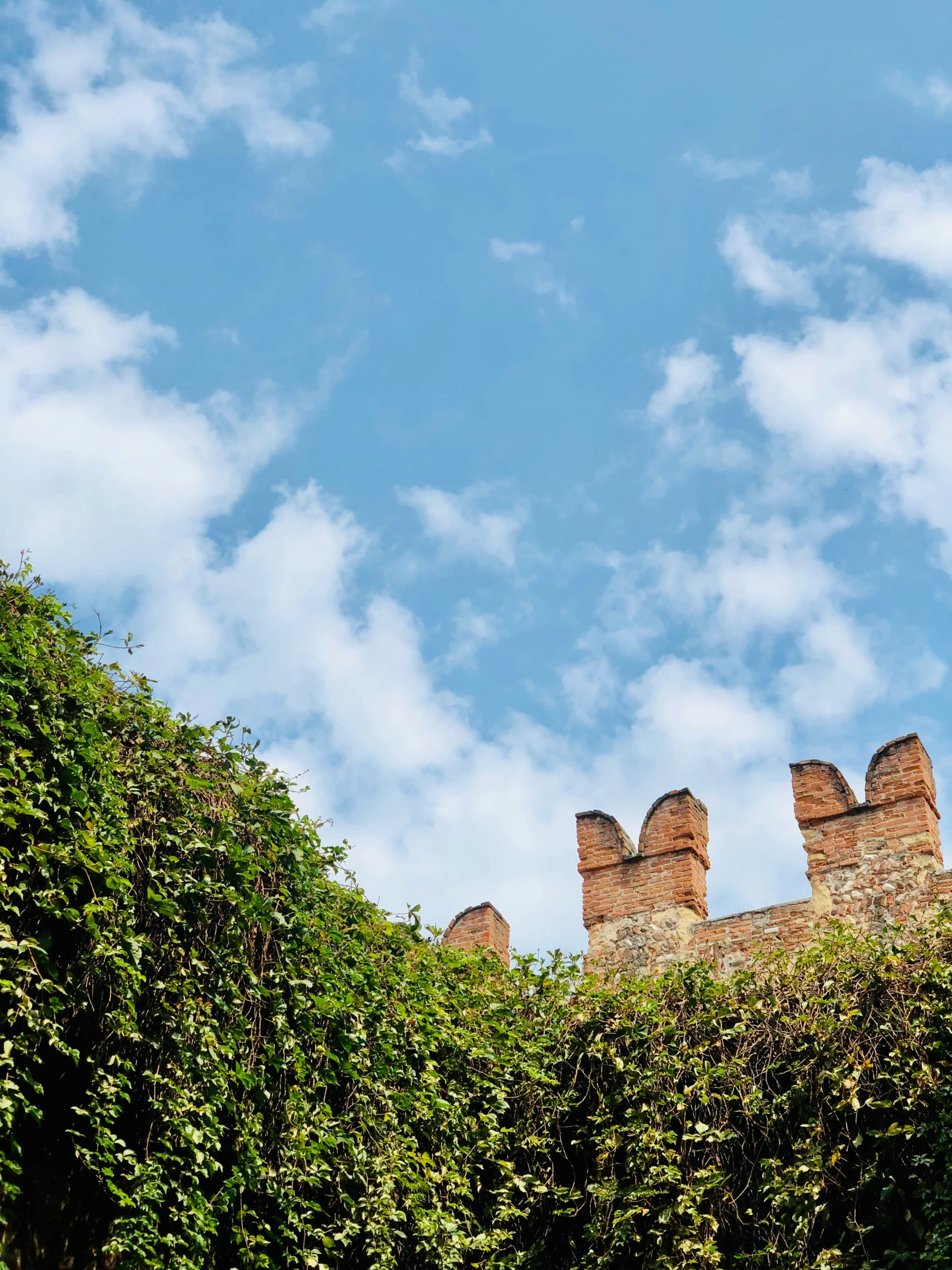 the castle is surrounded by green leaves and blue sky