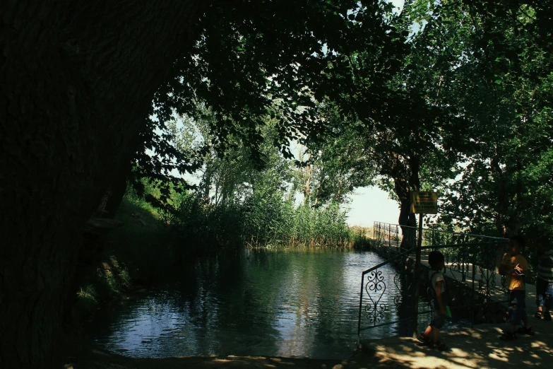 some people and trees by the water