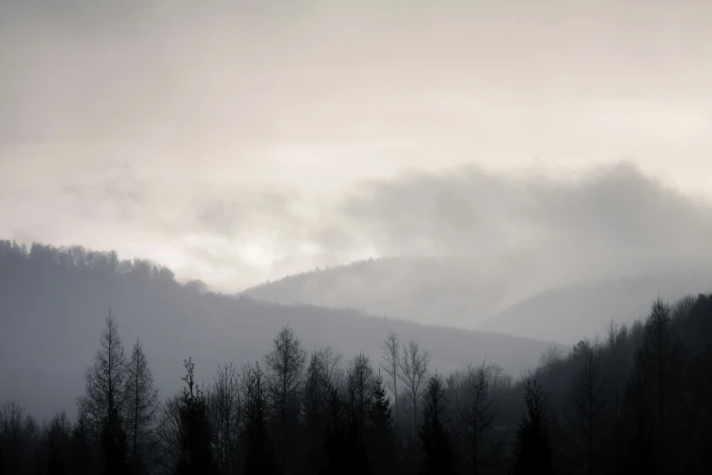 the mountains rise with trees in the foreground and white clouds on top