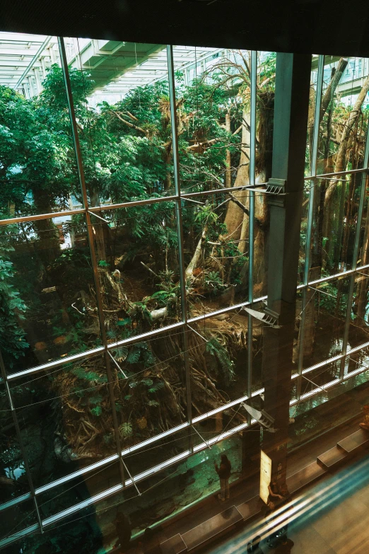 looking into a tall caged area full of plants
