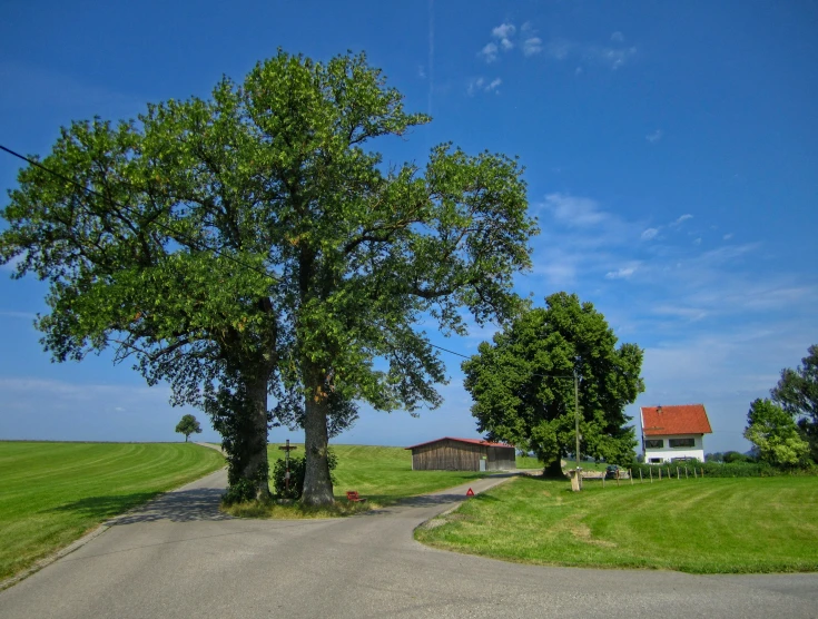 a road through a field of green grass