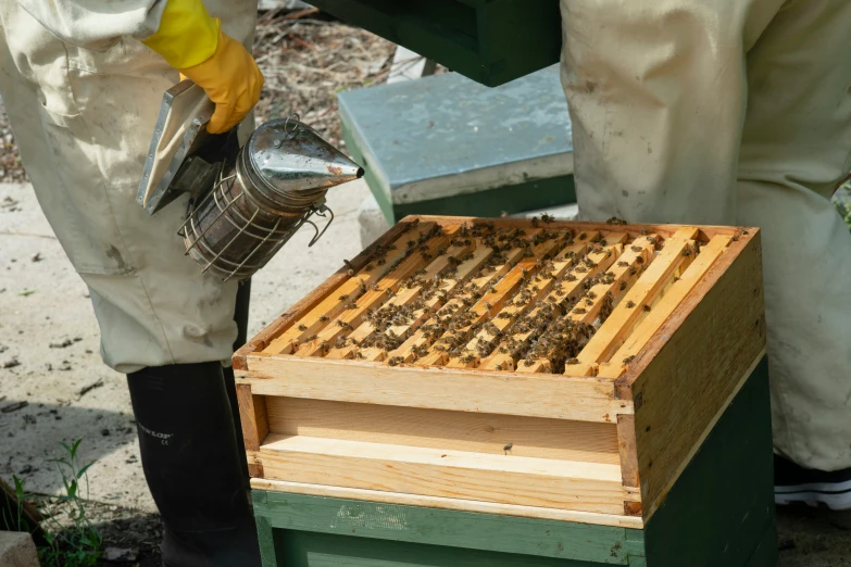 a man in white jacket removing a wooden beehive