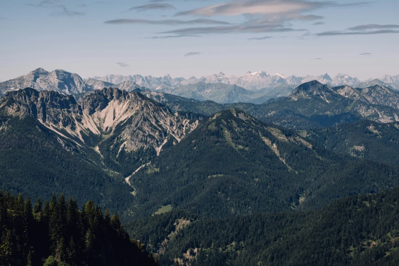 mountains covered in snow and trees during the day